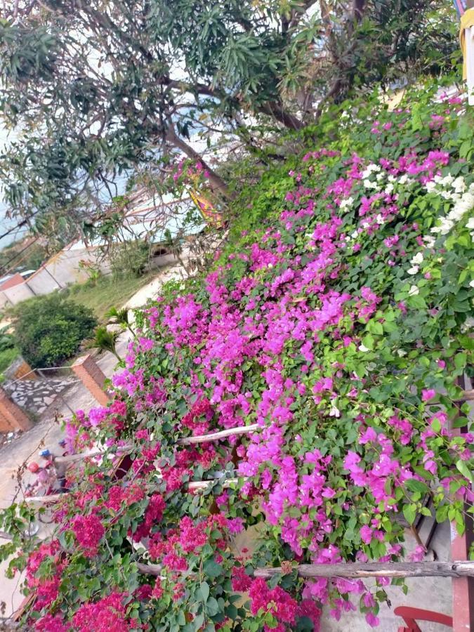 فندق Confetti House كوي نون المظهر الخارجي الصورة
